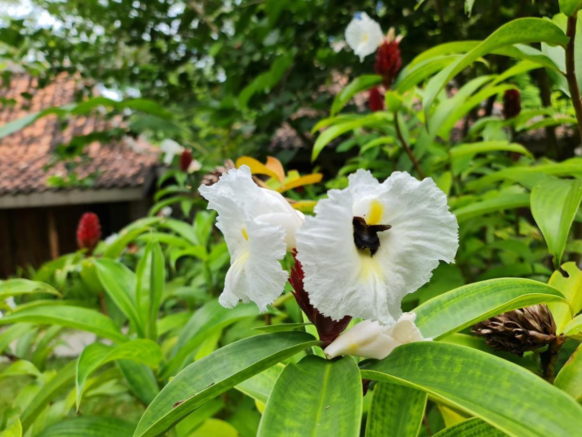 Villa Kayu Yogyakarta Exterior photo
